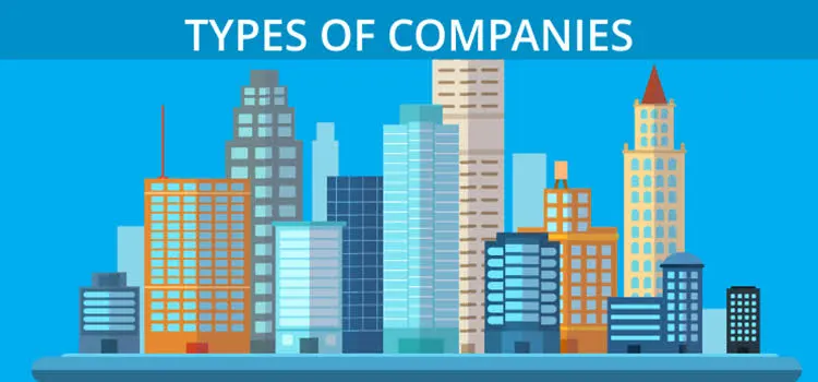 Types of Companies under Companies Act, 2013