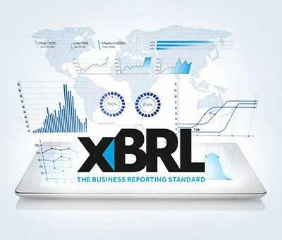 Purpose and Importance of XBRL