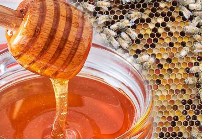 Honey production india