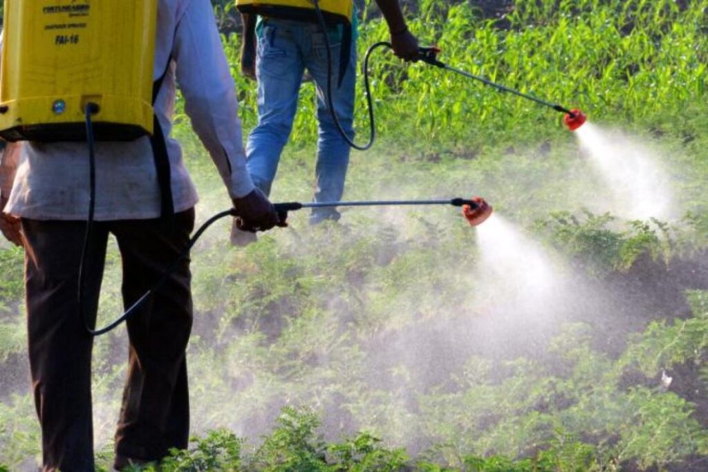 License to manufacture insecticides