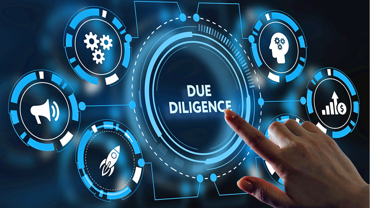 Due Diligence