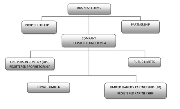 which is the best form of company in india