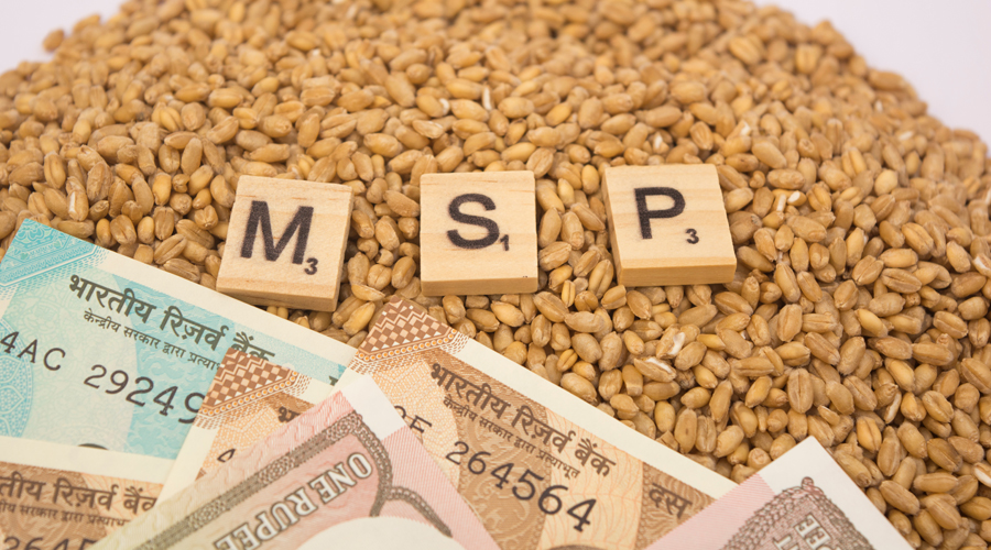 procurement of foodgrains on minimum support price (msp)