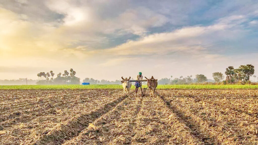 rajasthan kisan loan waiver scheme 2019