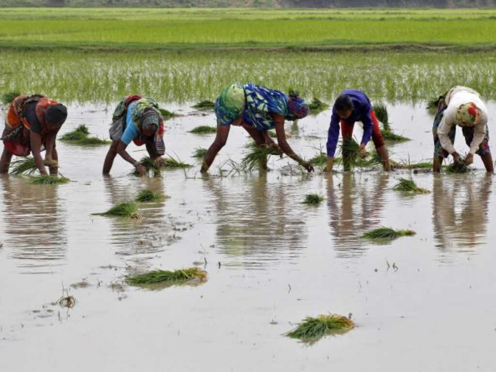 Rajasthan Old Age Farmer Pension Scheme