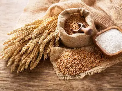 Rajasthan One Rupee Kg Wheat Scheme