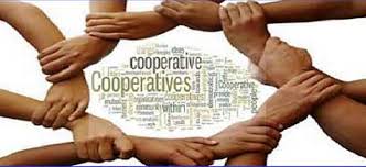 formation of co-operative society in india