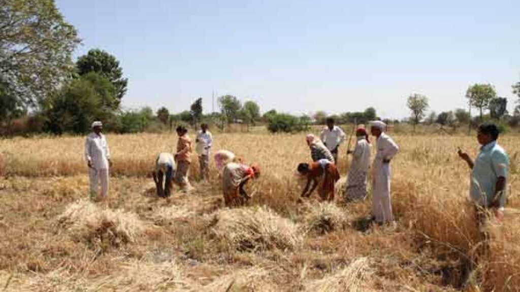 Rajasthan Farmers' Kaleva Scheme