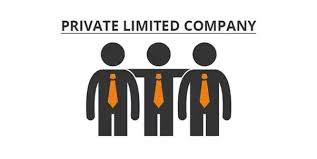 What is a private limited company India