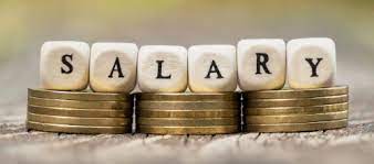 Salary Income under Income Tax