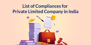 Annual Compliance Checklist for Private Limited Company in Rajasthan