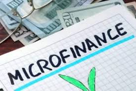 Microfinance delinquencies nearly double in a Year