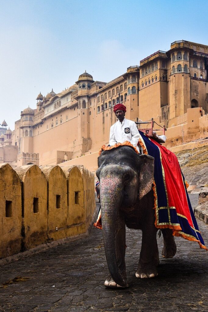 jaipur, rajasthan, india