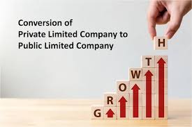 pvt ltd to public ltd