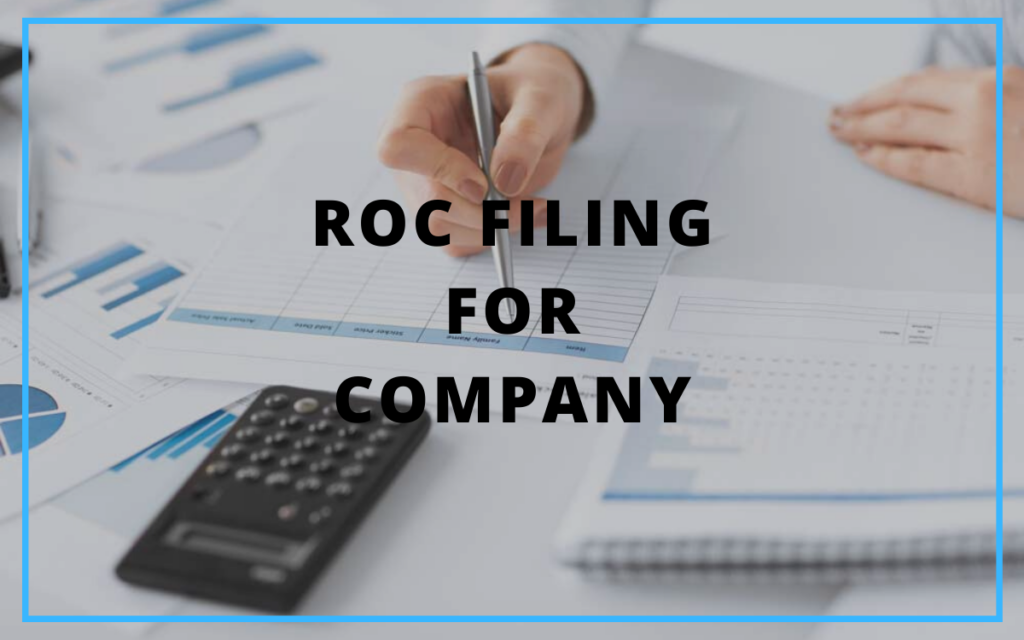 roc company annual filing