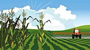 Finance Ministry Pushes for Farm Loans against ENWRs