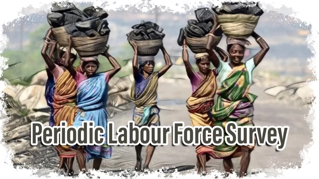 Periodic Labour Force Survey (PLFS)